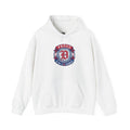 Detroit Pride Crest Hoodie — Vintage Motor City Varsity Pullover | Proud to Be a D