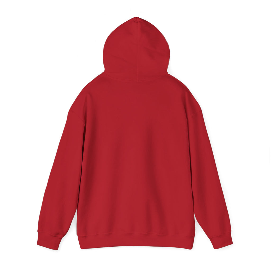 Detroit Pride Crest Hoodie — Vintage Motor City Varsity Pullover | Proud to Be a D