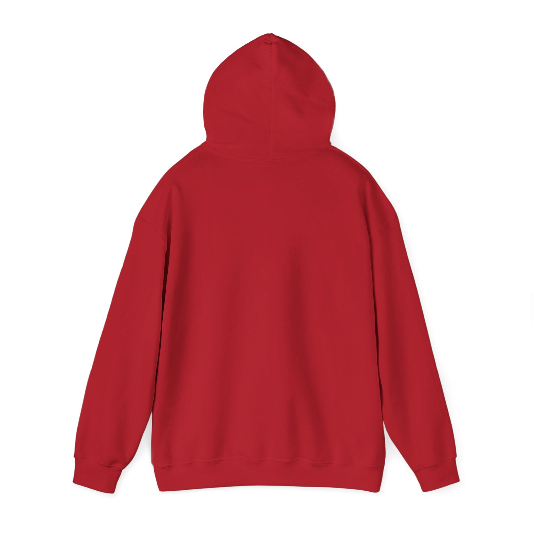 Detroit Pride Crest Hoodie — Vintage Motor City Varsity Pullover | Proud to Be a D