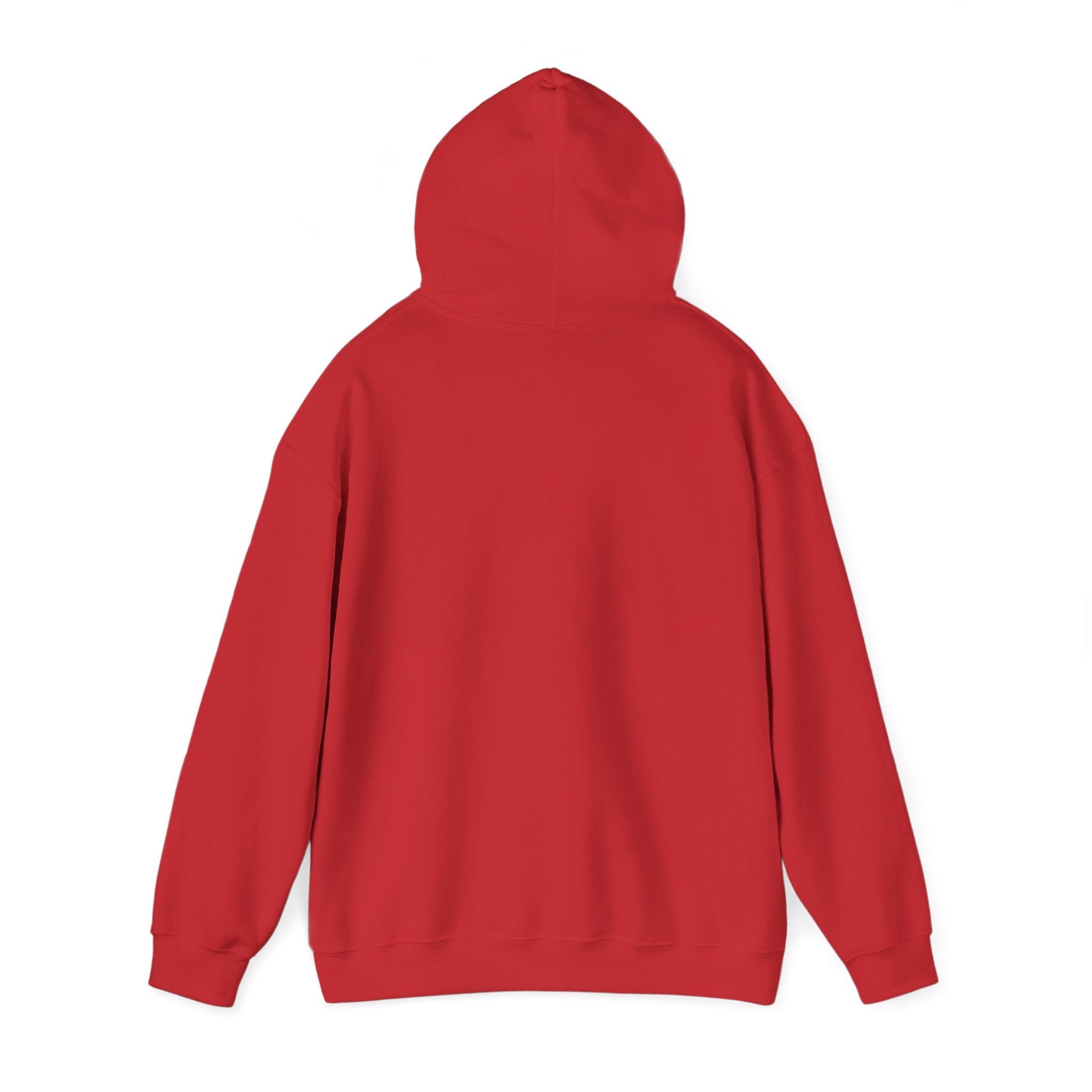 Detroit Pride Crest Hoodie — Vintage Motor City Varsity Pullover | Proud to Be a D