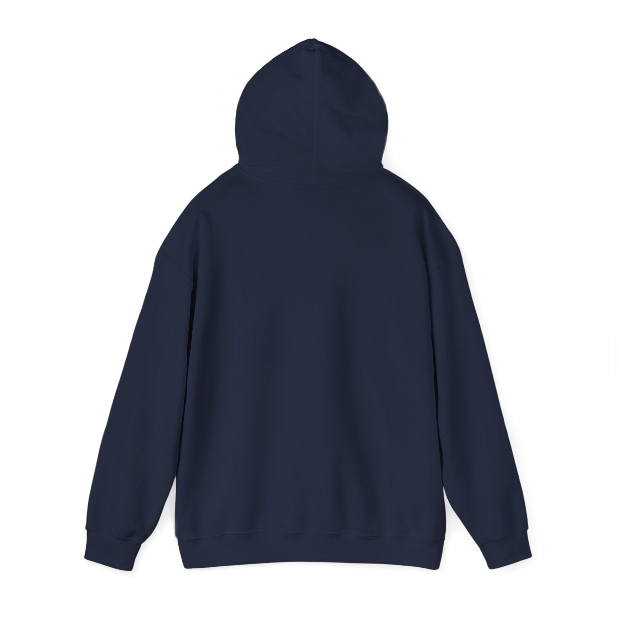 Detroit Pride Crest Hoodie — Vintage Motor City Varsity Pullover | Proud to Be a D