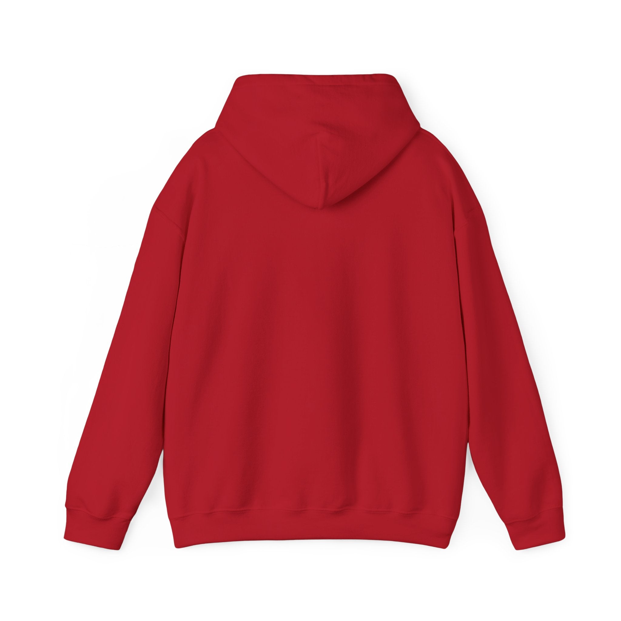 Detroit Pride Crest Hoodie — Vintage Motor City Varsity Pullover | Proud to Be a D